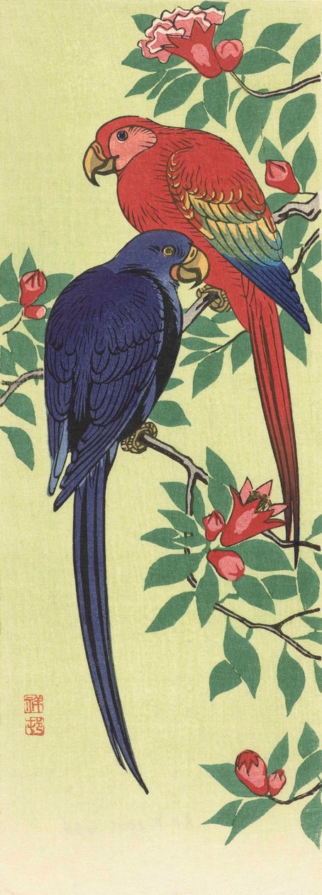 红蓝鹦鹉》，日本艺术家 Ohara Koson 创作 作者 大原功臣