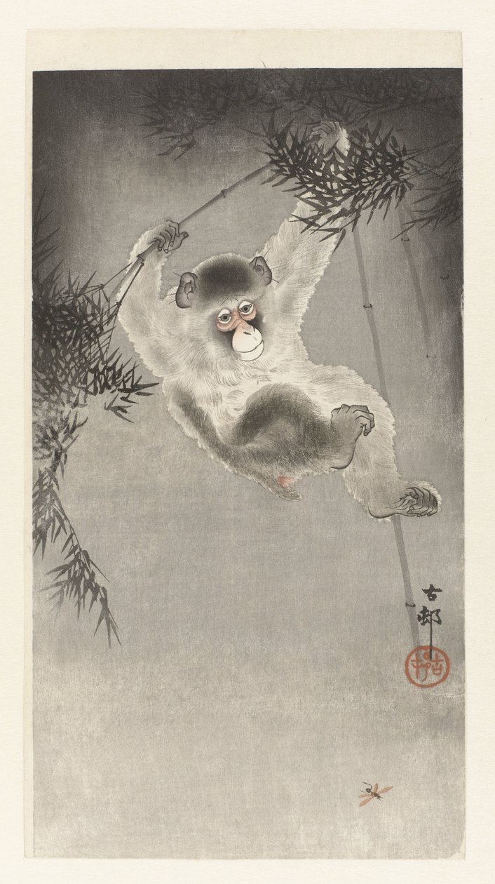 猴子，挂在竹枝上 作者 大原功臣
