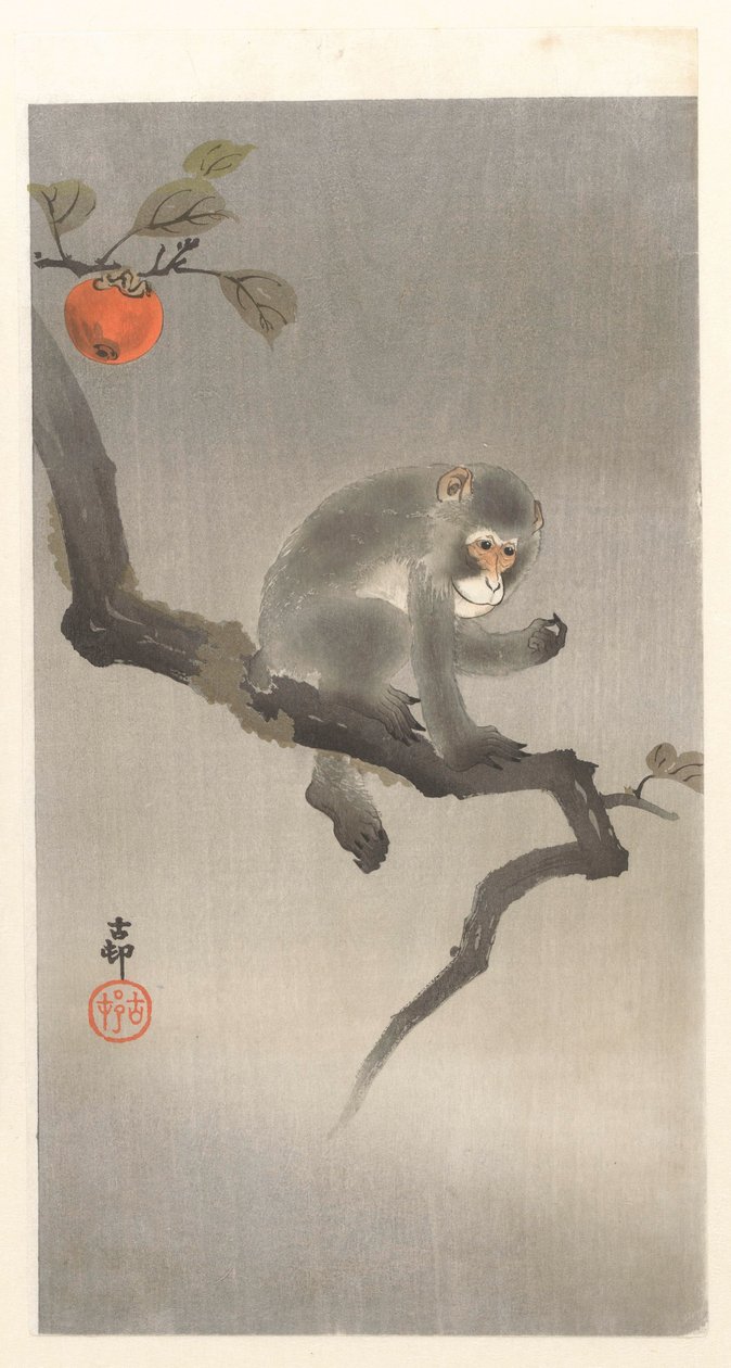 Aap in kakiboom 作者 大原功臣
