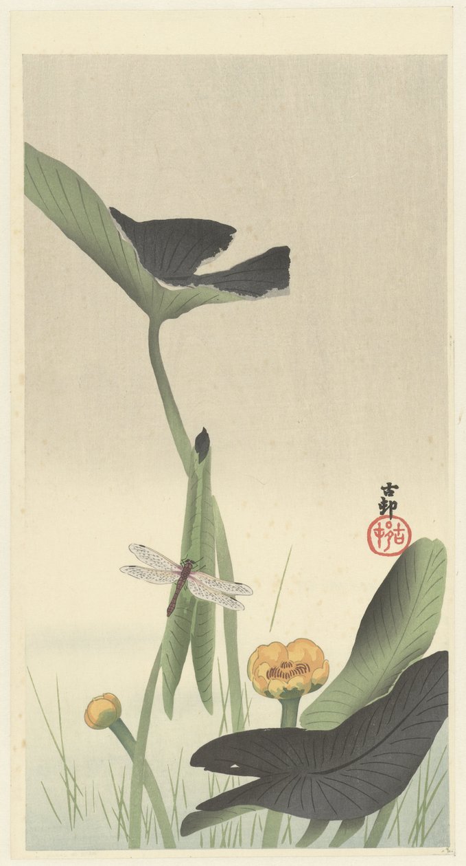 蜻蜓与荷花，约 1900-30 年（彩色木刻） 作者 大原功臣