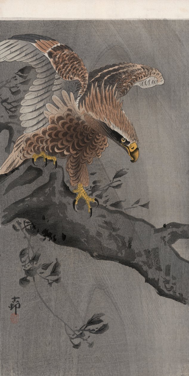 Eagle with Spread Wings on Tree Trunk (colour woodblock print) 作者 大原功臣