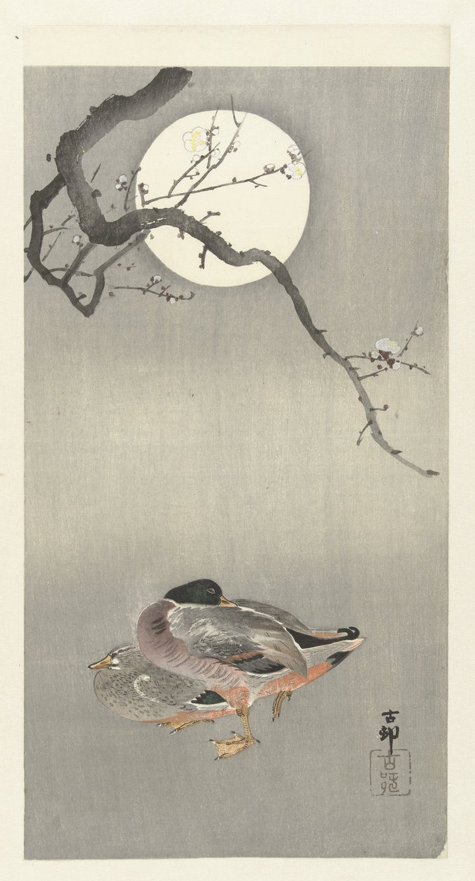 满月时的鸭子 作者 大原功臣