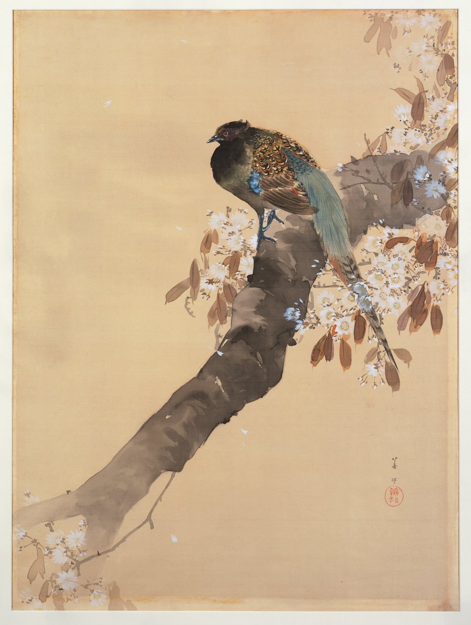 樱花枝上的野鸡 作者 大原功臣