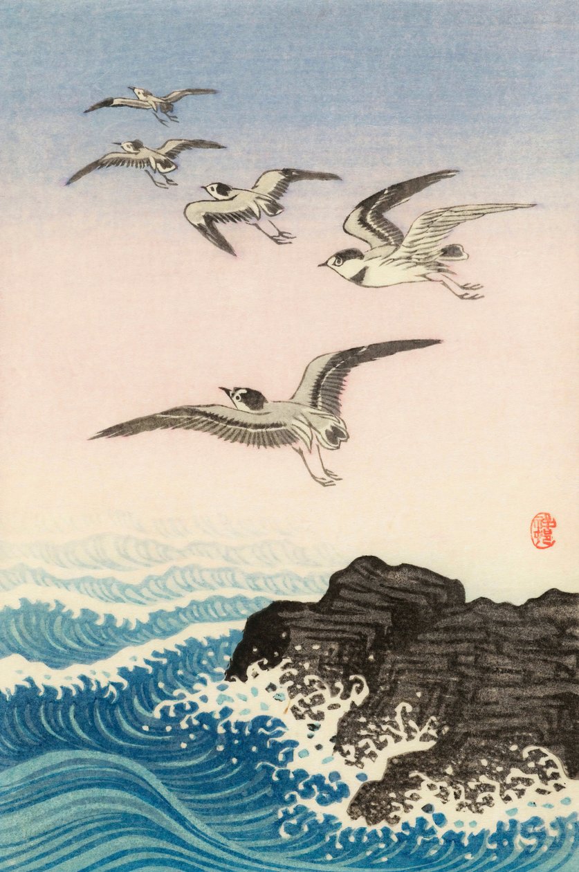 海中岩石上的五只海鸥，20 世纪（日本版画） 作者 大原功臣
