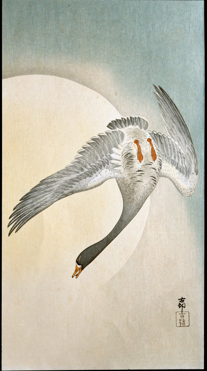 月光下鸭子的飞行 大原康生（1877-1945）的木刻版画和日本印刷品 1908年 私人收藏 DR 作者 大原功臣