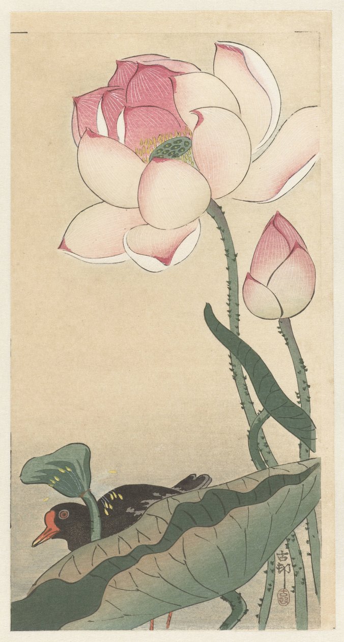 莲花鸡 作者 大原功臣
