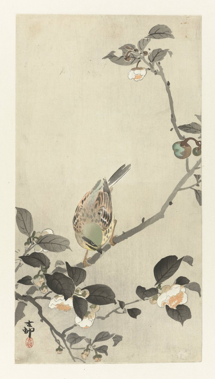 花枝上的鹀 作者 大原功臣