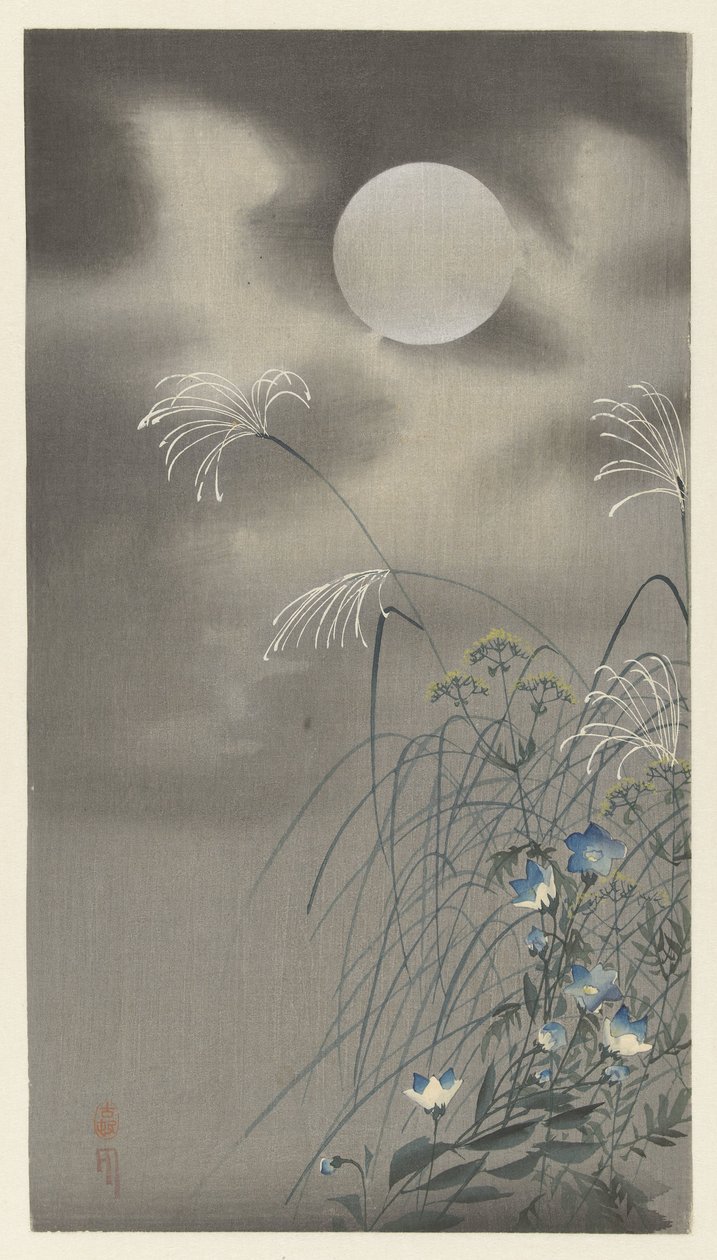 满月时的花草 作者 大原功臣