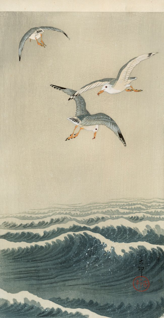 海鸥在海上 作者 大原功臣