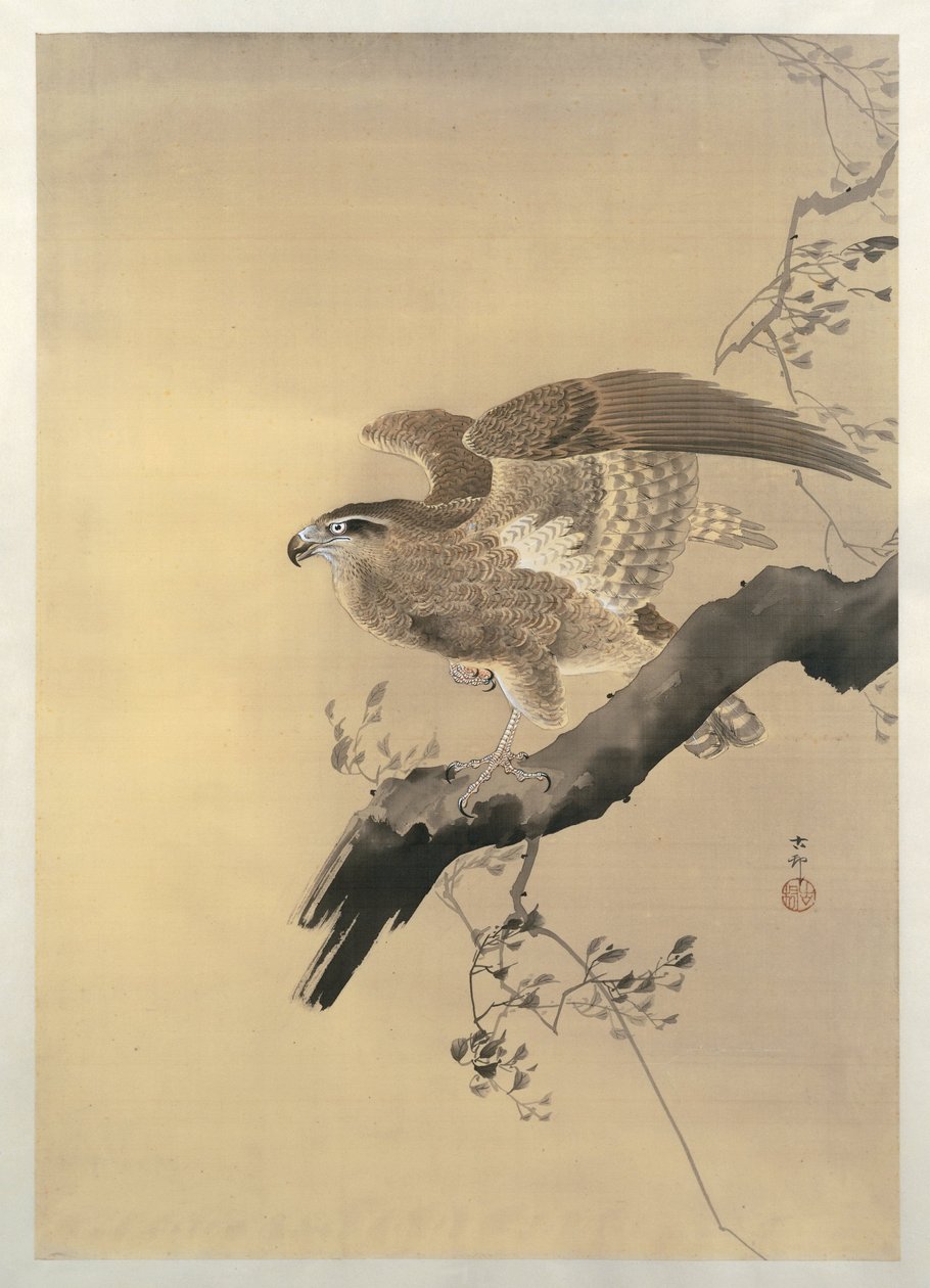 哈维克 作者 大原功臣