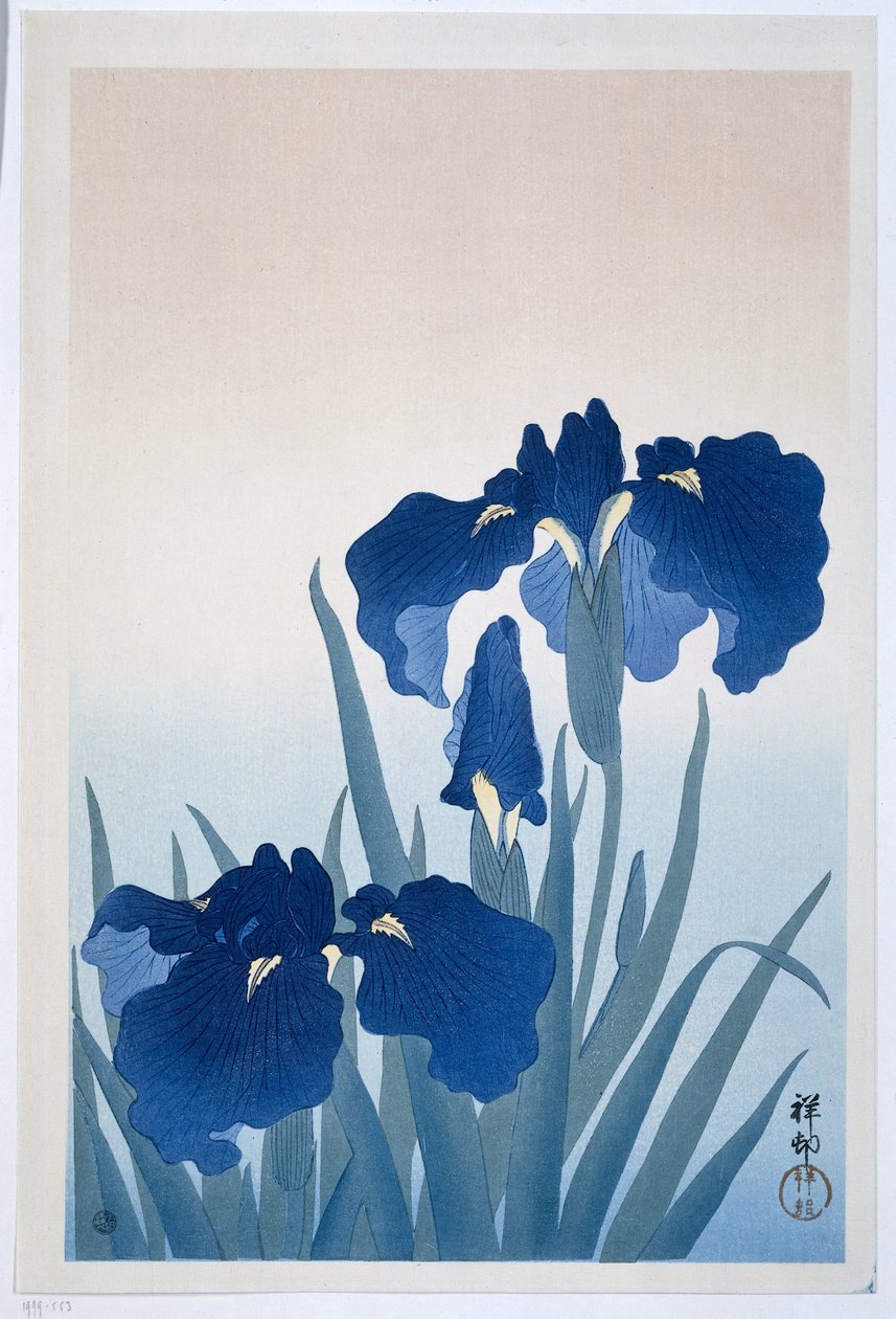 鸢尾花，1925-36（木版画） 作者 大原功臣