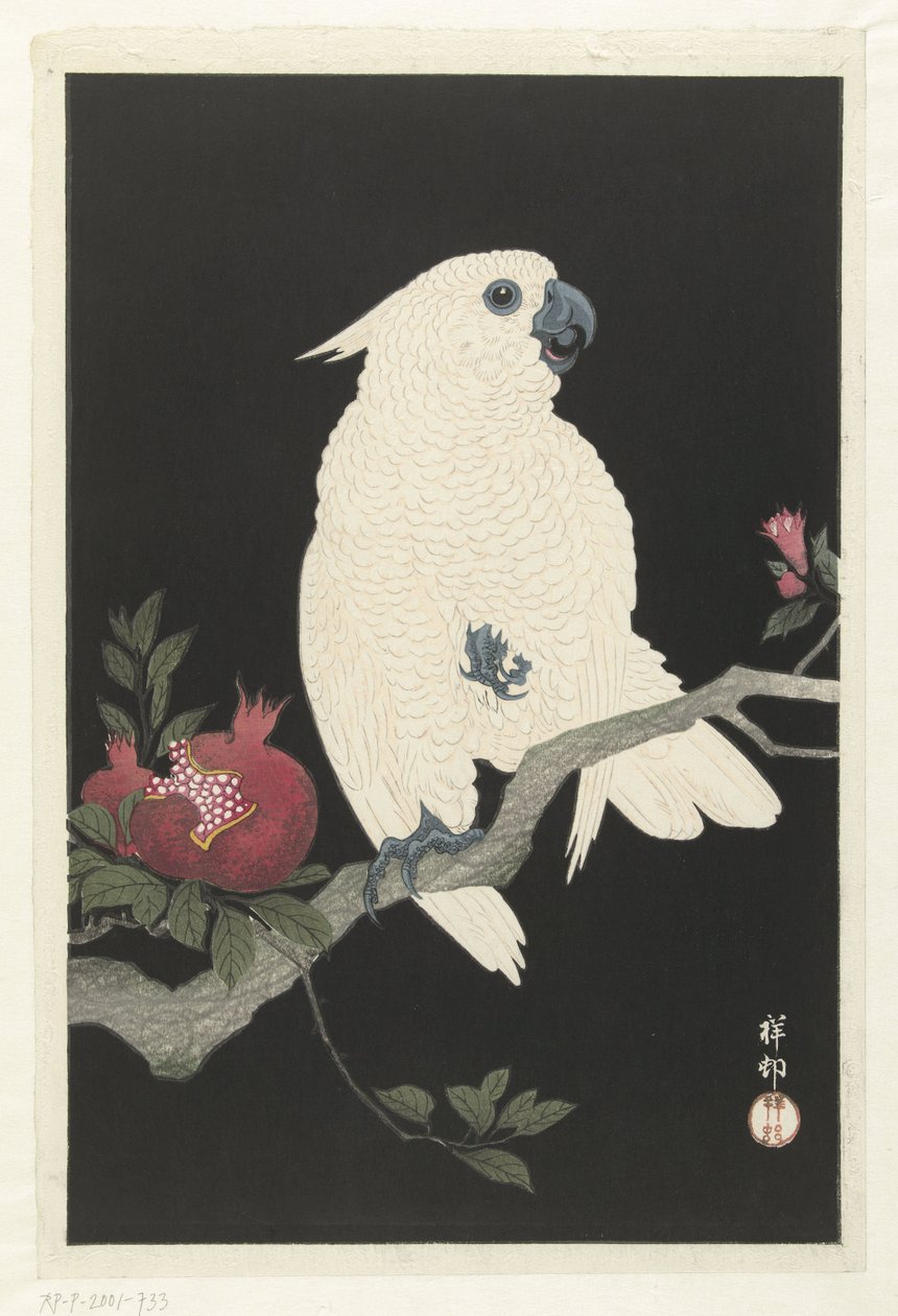 鹦鹉和石榴 作者 大原功臣
