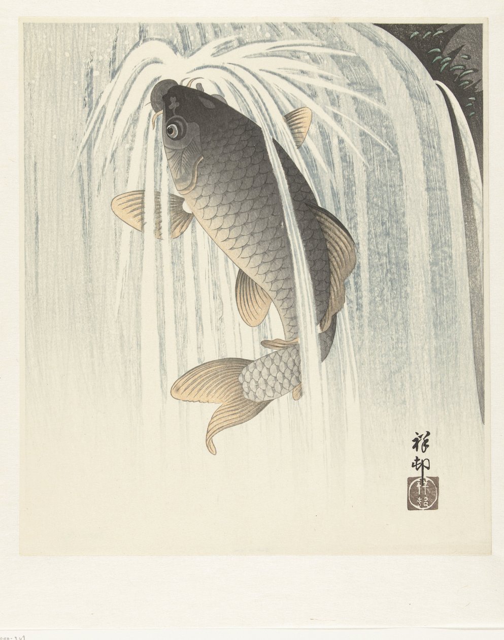 鲤鱼 作者 大原功臣
