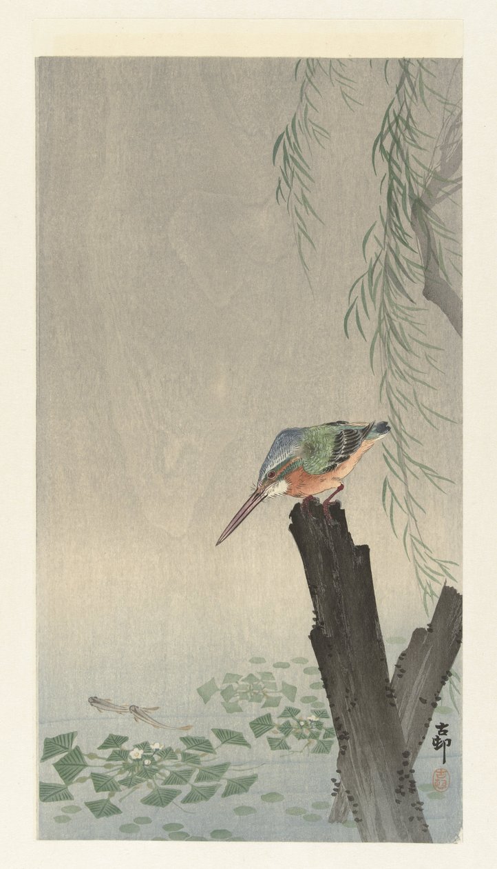 Kingfisher on a tree stump   1471127   zh       chinese Successfully Translated  Original: L Translat: L 1335530 zh chinese Successfully Translated Original: Purple flowered peppermint, Mentha piperita Translat: Purple flowered peppermint, Mentha piperita  作者 大原功臣