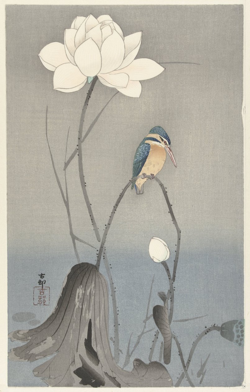 翠鸟与莲花 作者 大原功臣
