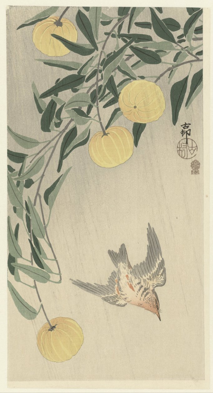 雨中的布谷鸟 作者 大原功臣