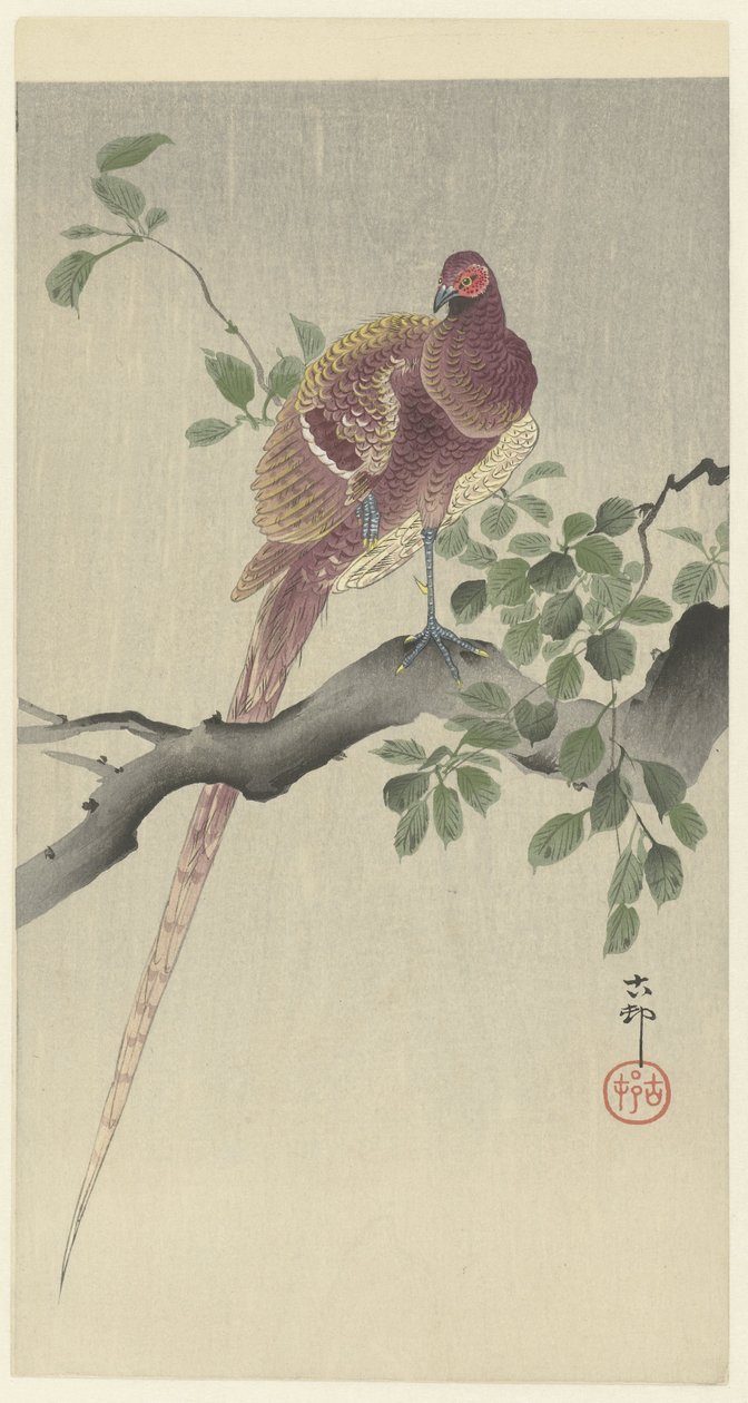 科佩法赞 作者 大原功臣