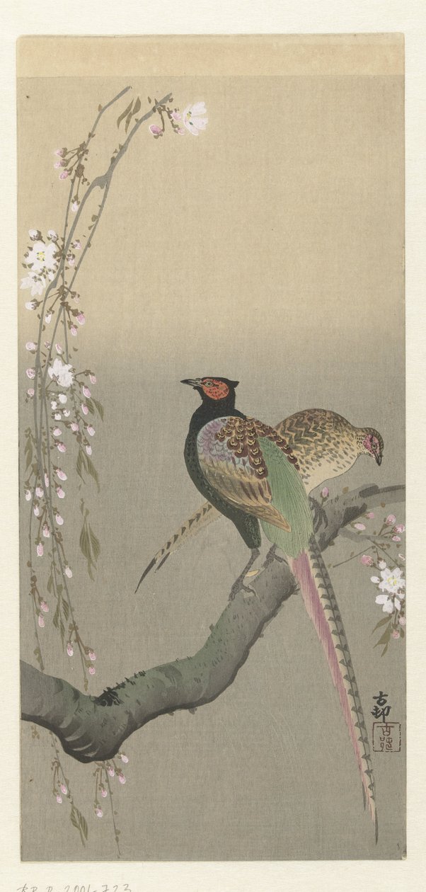 几只野鸡和樱花 作者 大原功臣