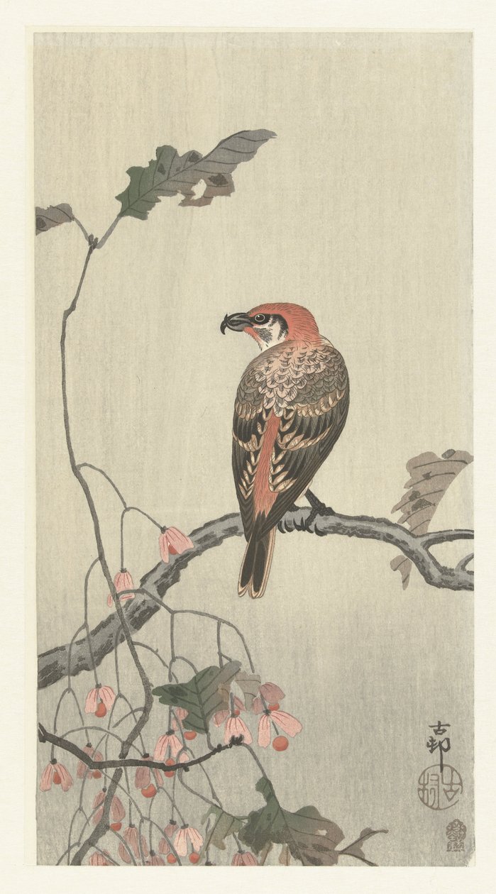 树枝上的鹖鸟 作者 大原功臣