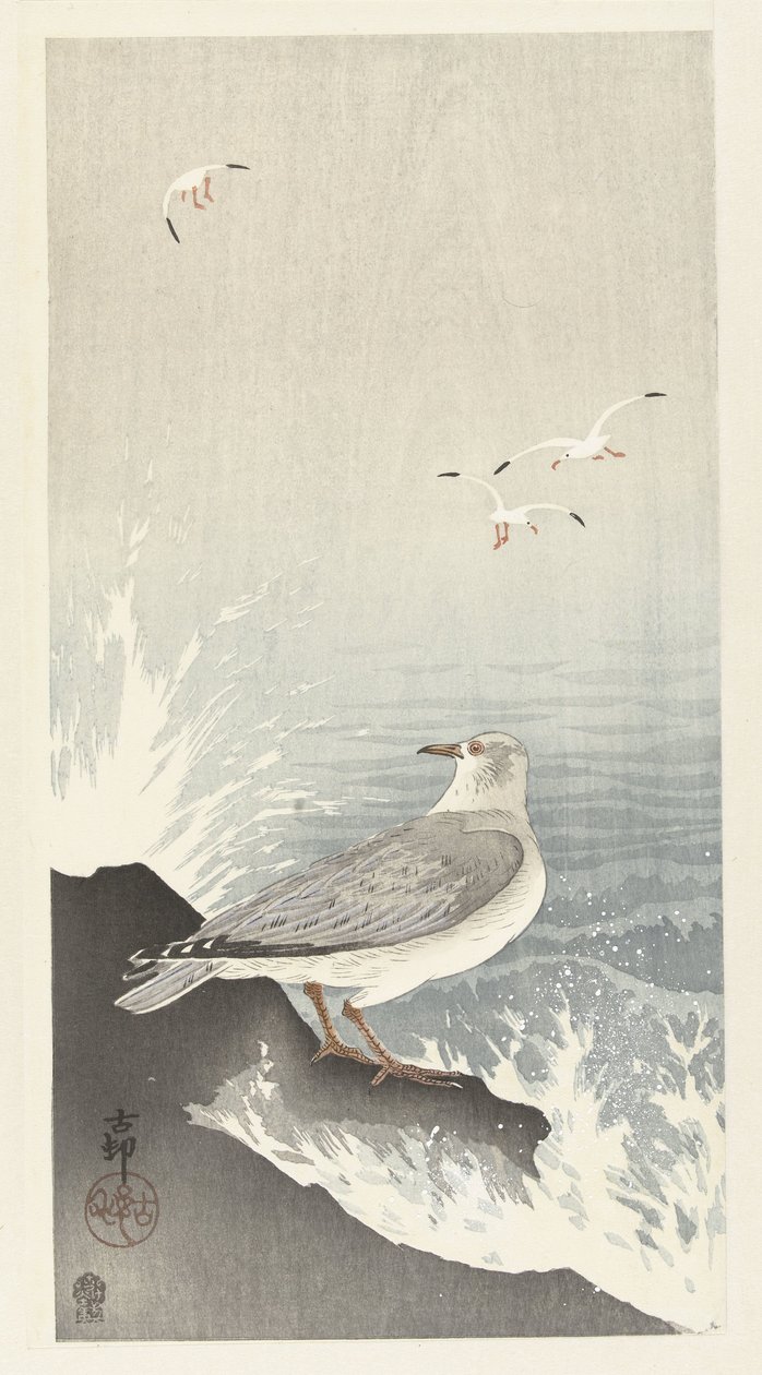 岩石上的海鸥 作者 大原功臣