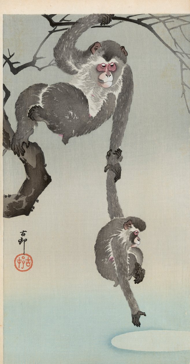 猴子和婴儿伸手去拿月亮的反射 作者 大原功臣