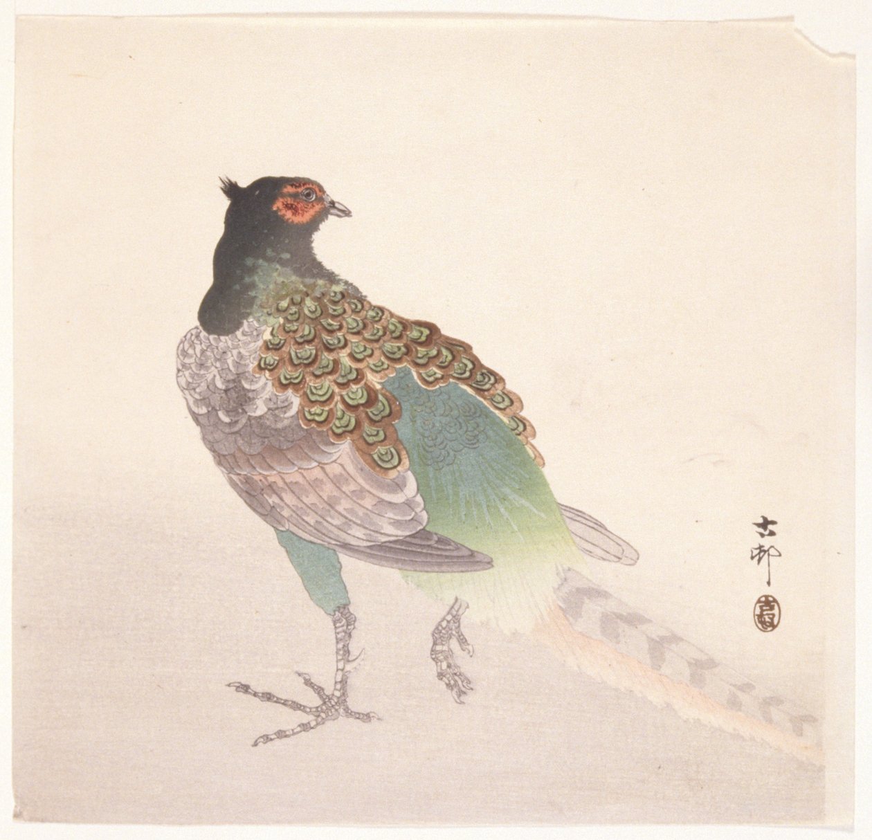 雉鸡（彩色木版画） 作者 大原功臣