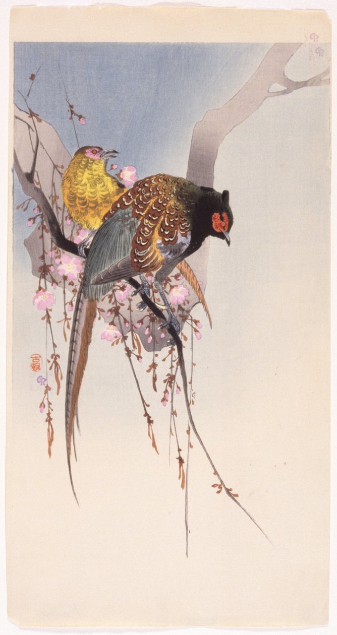 雉鸡与垂樱（彩色木版画） 作者 大原功臣