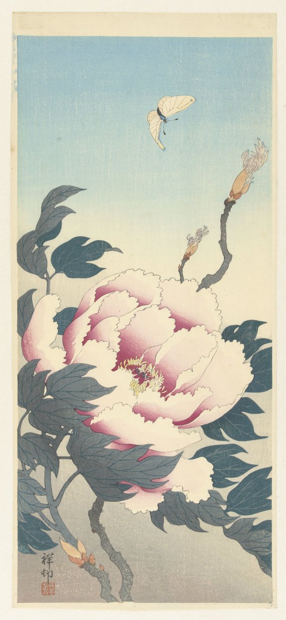 蝴蝶牡丹 作者 大原功臣