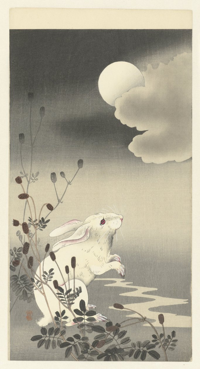 满月下的兔子 作者 大原功臣