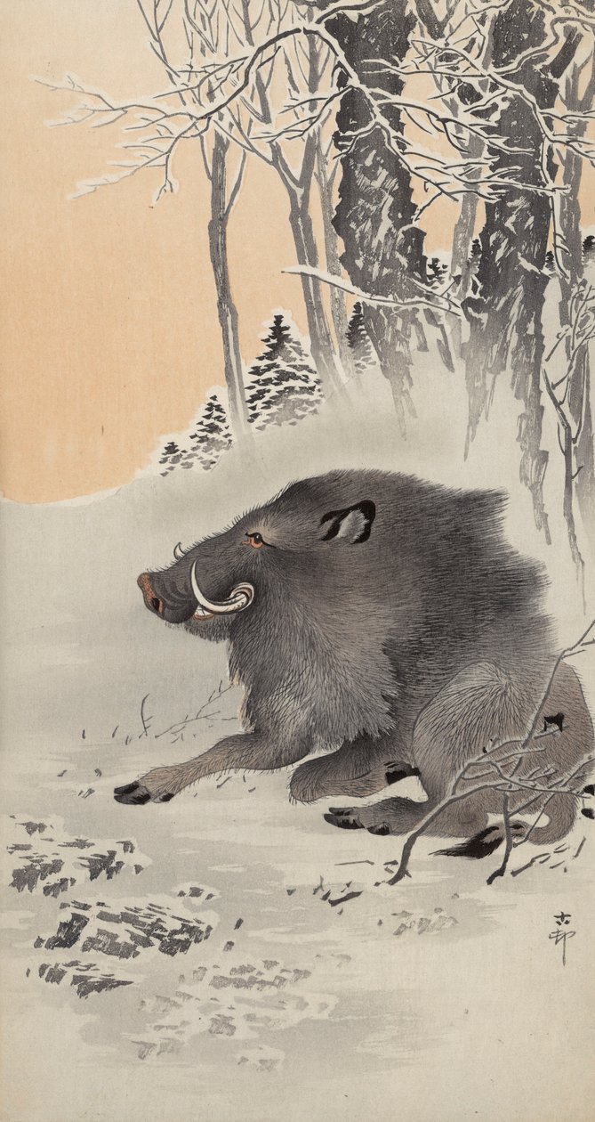 白雪皑皑中的野猪(彩色木版画) 作者 大原功臣