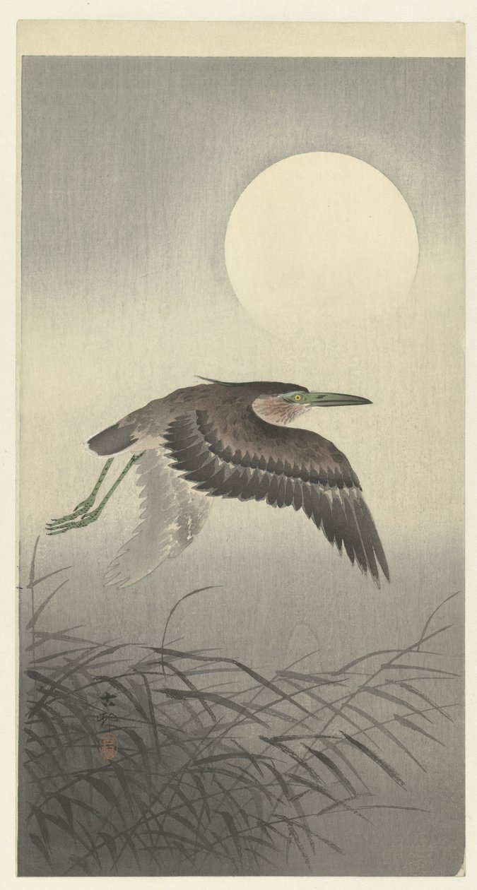 满月时的苍鹭 作者 大原功臣