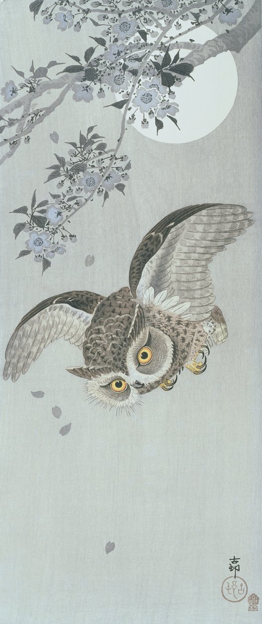 飞翔中的勺状猫头鹰与花和满月（彩色木版画 作者 大原功臣