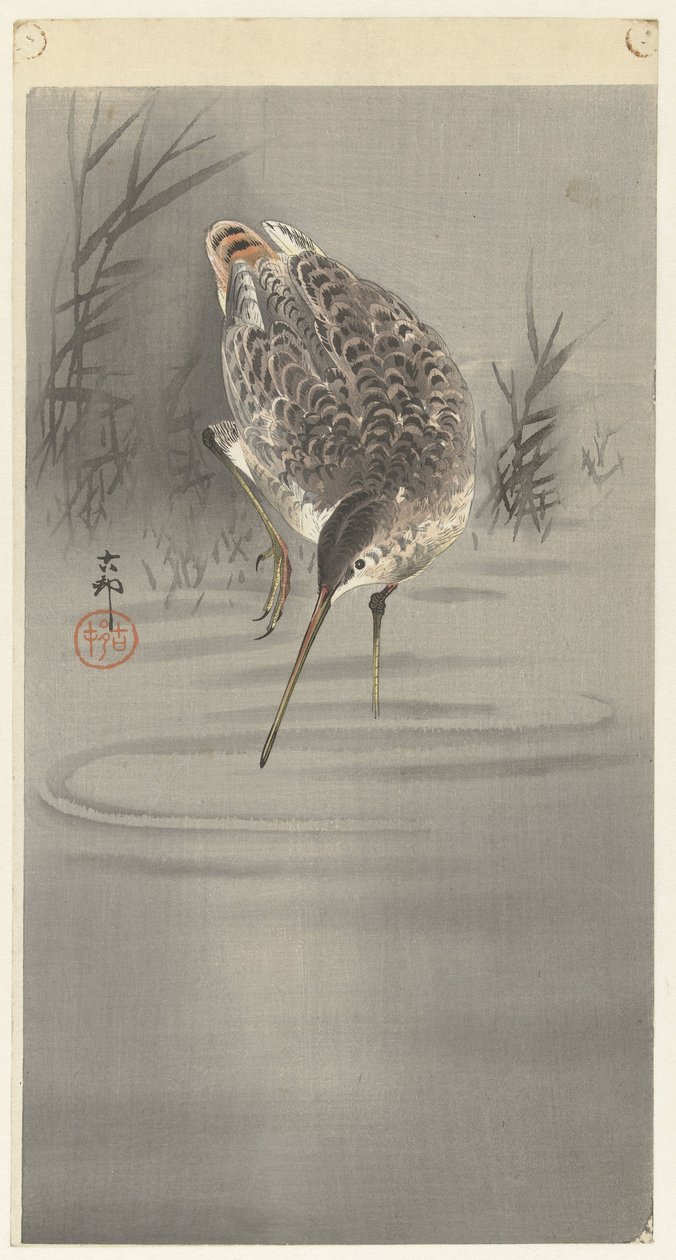 水中鹬 作者 大原功臣