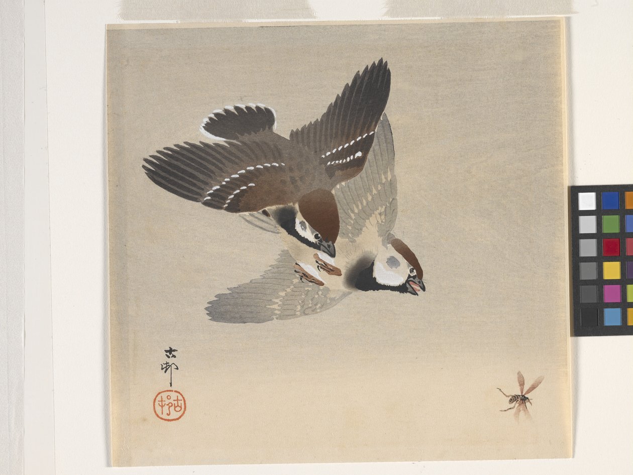 麻雀追飞虫（彩色木版画） 作者 大原功臣