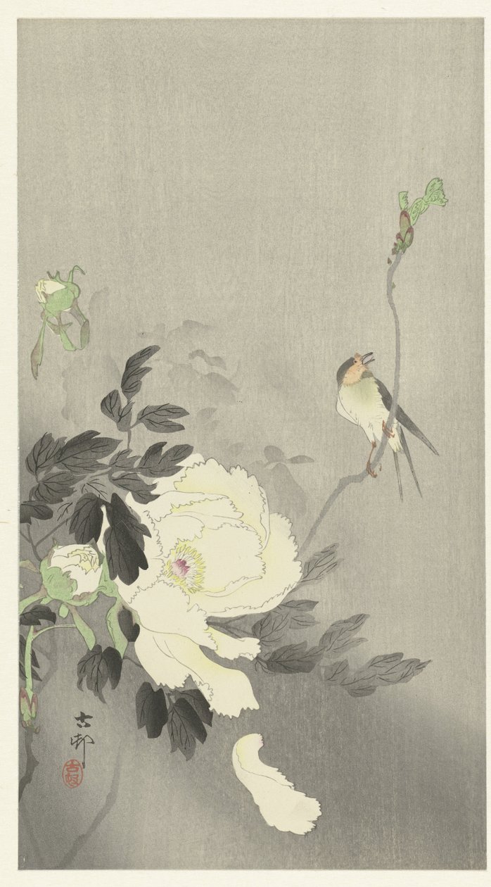 牡丹燕子 作者 大原功臣