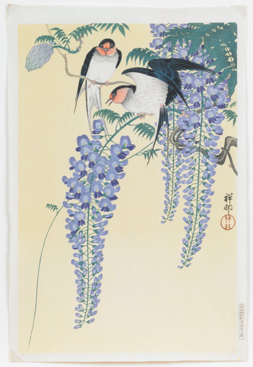 燕子和紫藤 作者 大原功臣