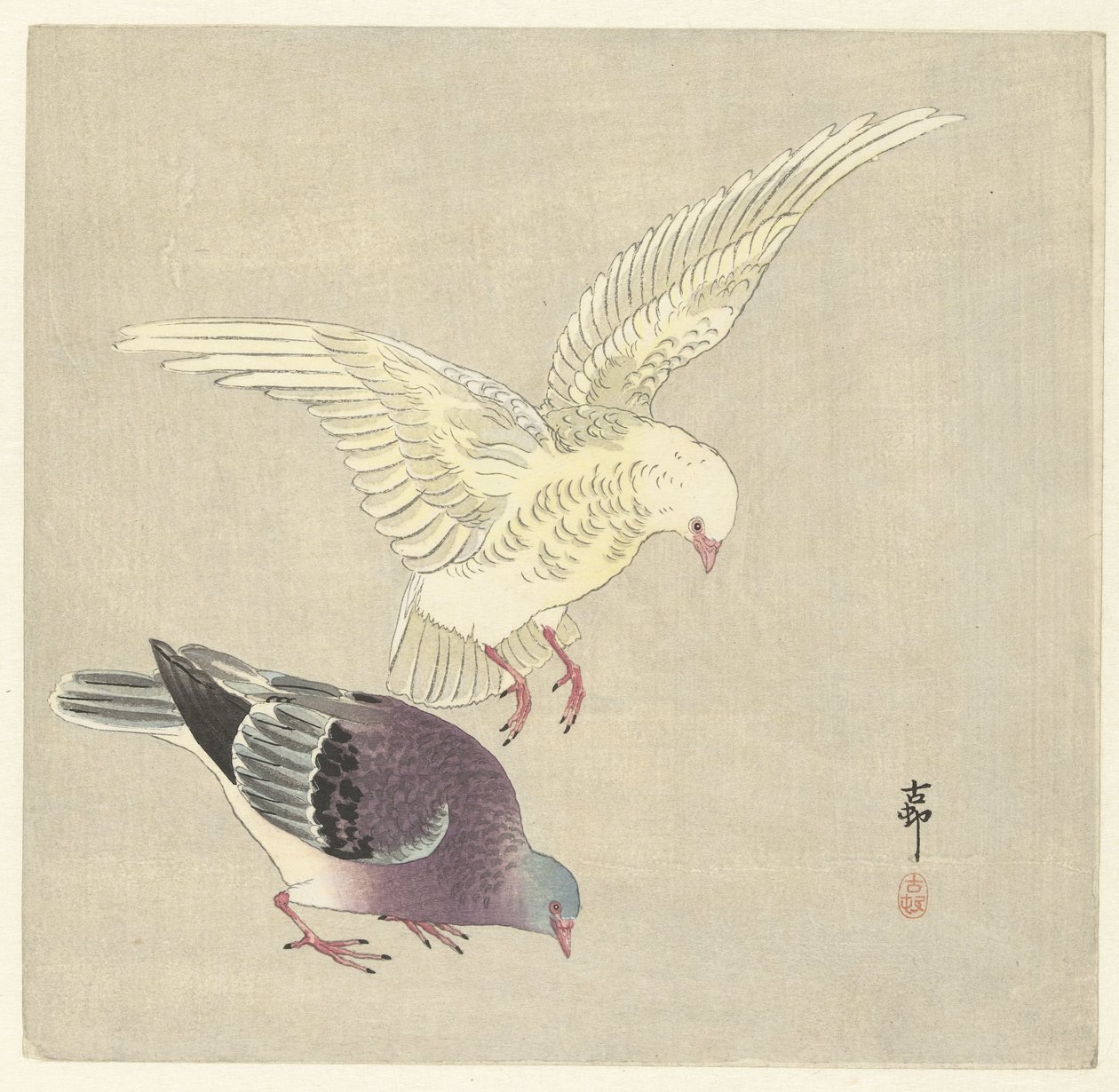 两只鸽子 作者 大原功臣