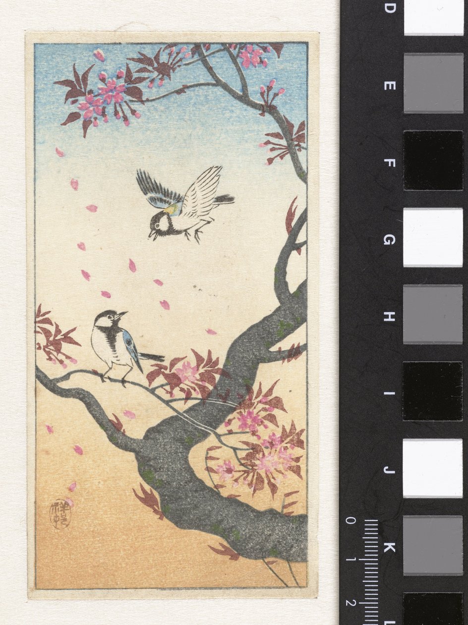 两只大山雀在开花的树旁 作者 大原功臣