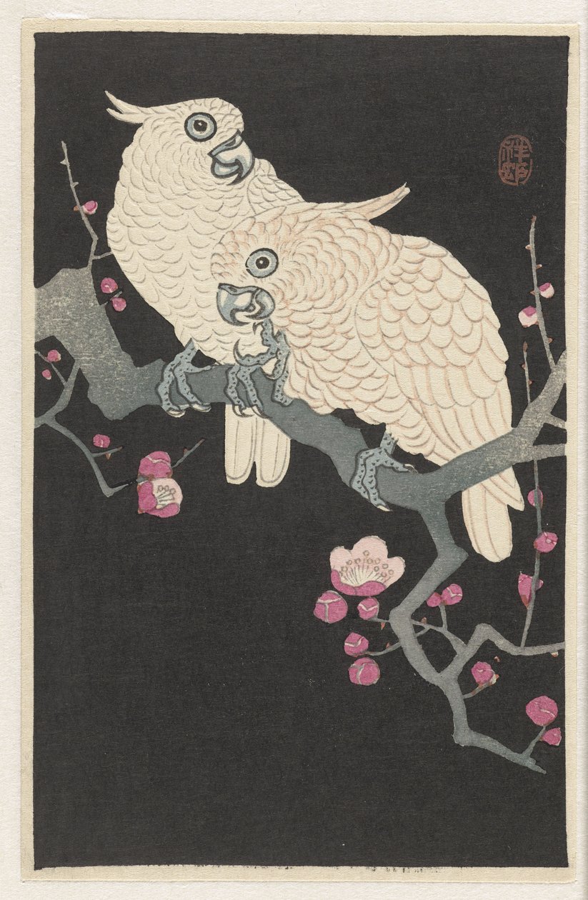 两只鹦鹉和梅花 作者 大原功臣