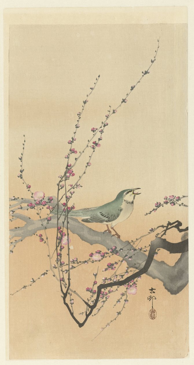 鸣鸟与梅花 作者 大原功臣