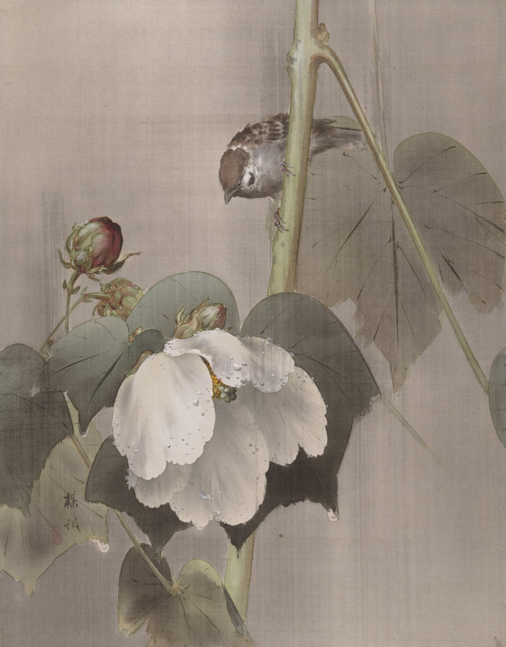 雨中的棉花玫瑰花束，约1891-92年。 作者 冈田百胜