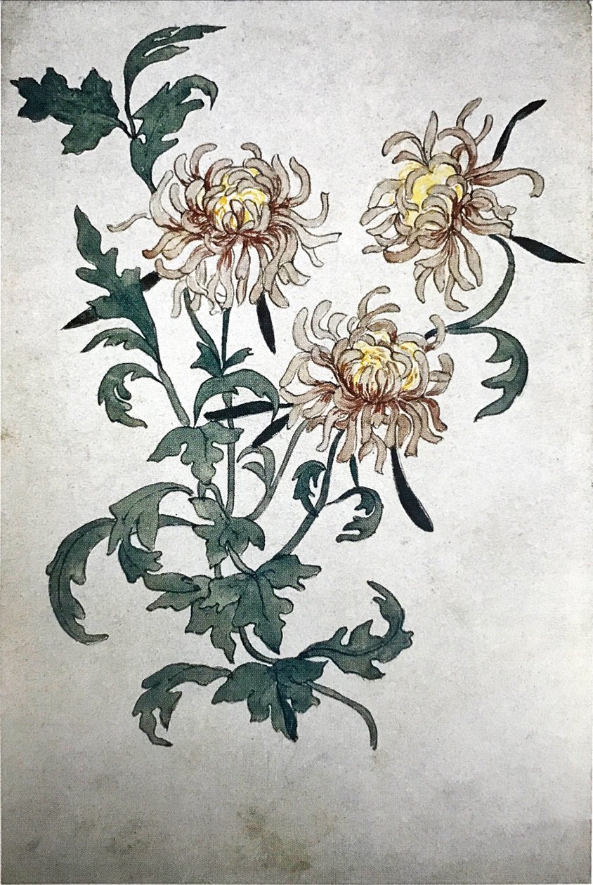 花卉 作者 奥尔加·罗扎诺娃（Olga Rozanova）