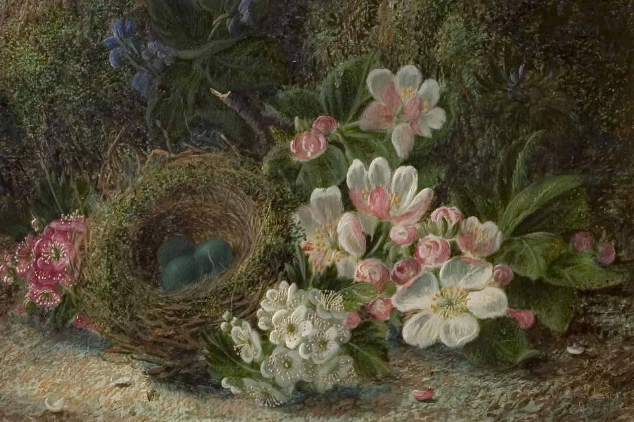 鸟巢与苹果和山楂花，1893年 作者 奥利弗·克莱尔