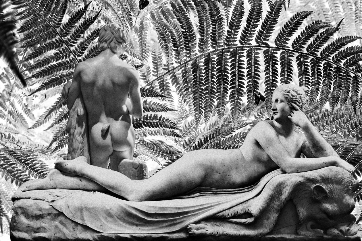 雕像啊 2019（数字混合媒介） 作者 