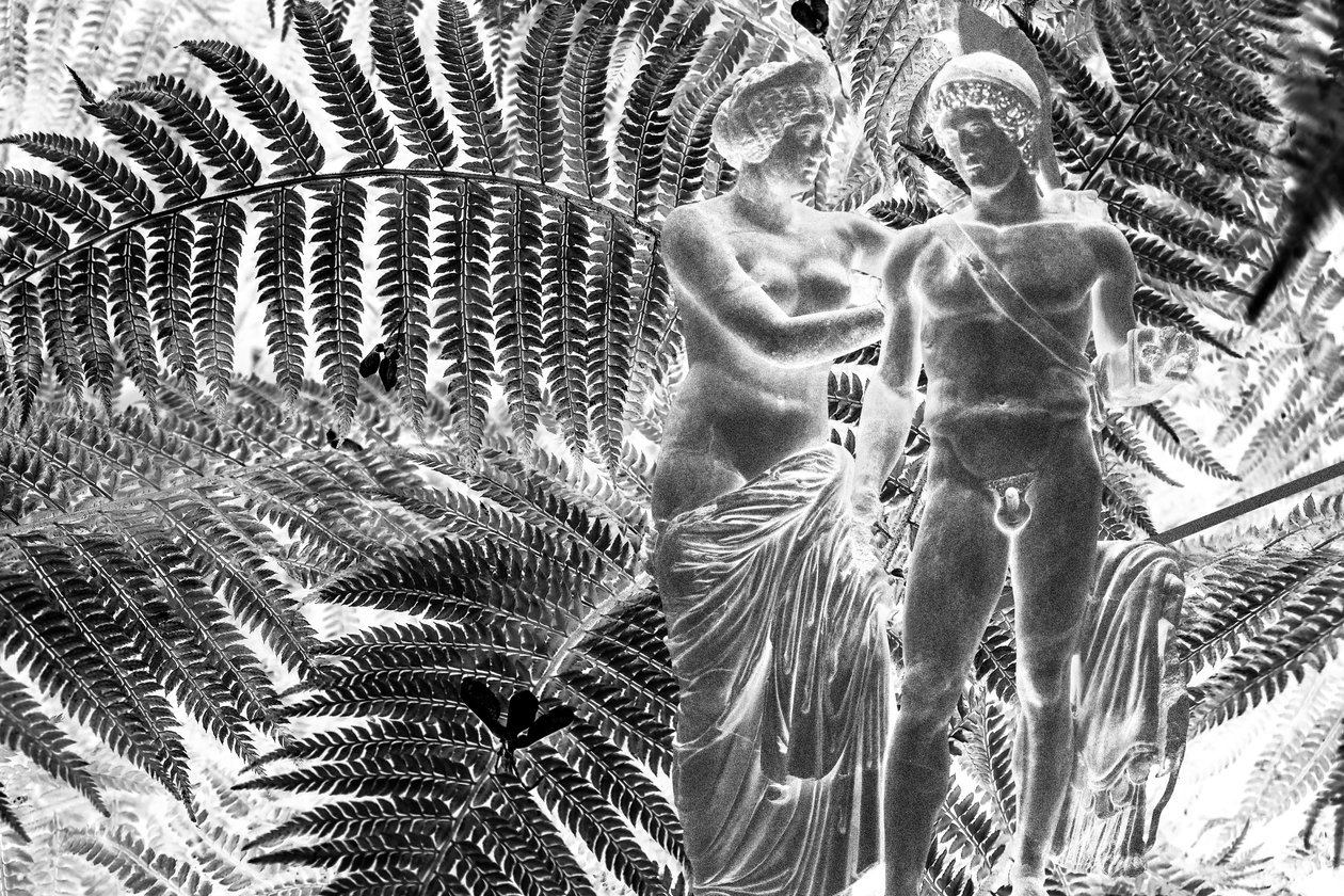 2019 年雕像（数字混合媒介） 作者 