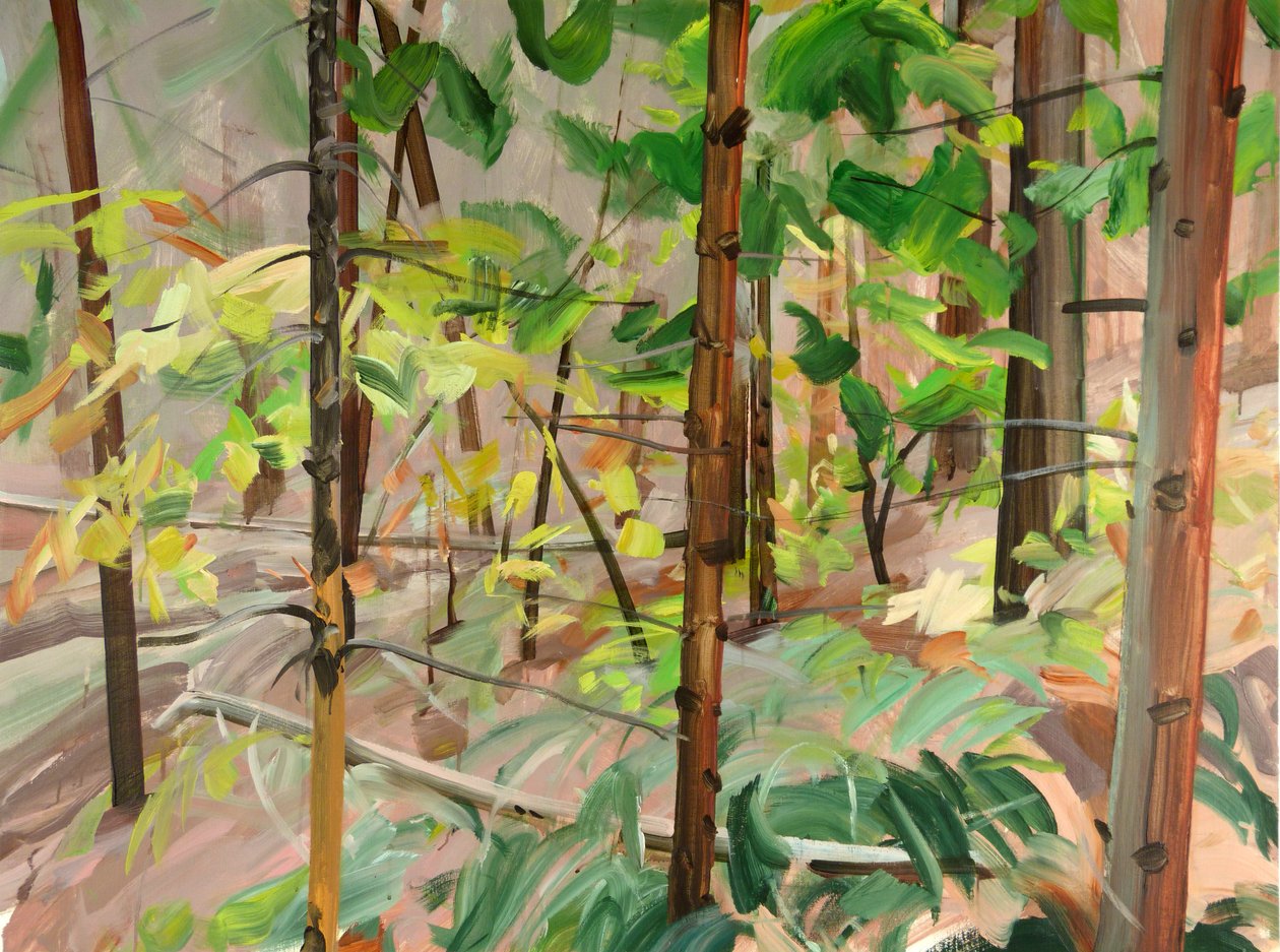 2015年9月9日（画布上的丙烯酸） 作者 奥利维尔·莫雷尔（Olivier Morel）