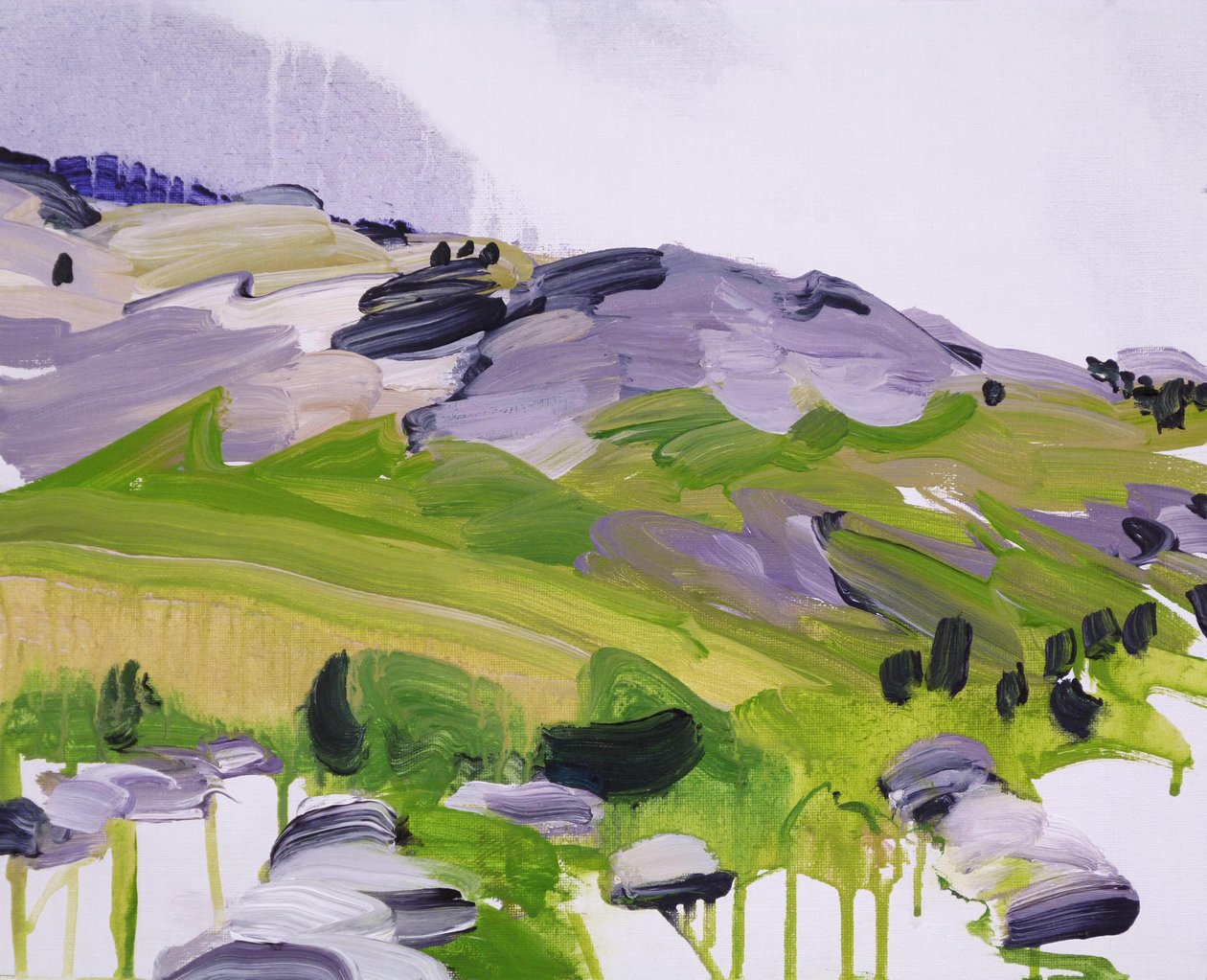Leukerbad 14，2012 年（丙烯酸画布） 作者 奥利维尔·莫雷尔（Olivier Morel）