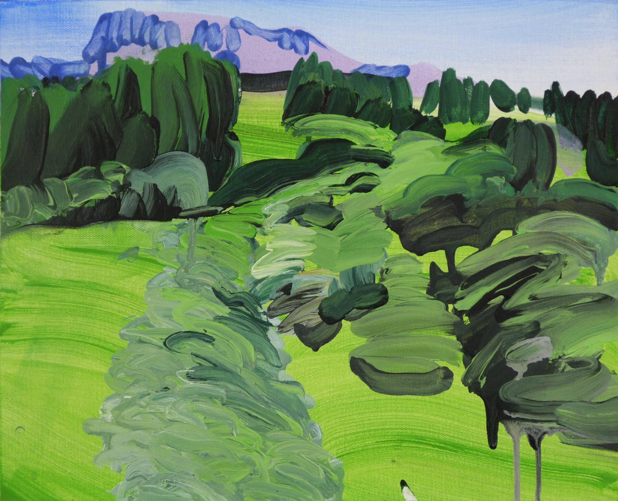 Leukerbad 1，2012 年（丙烯酸画布） 作者 奥利维尔·莫雷尔（Olivier Morel）