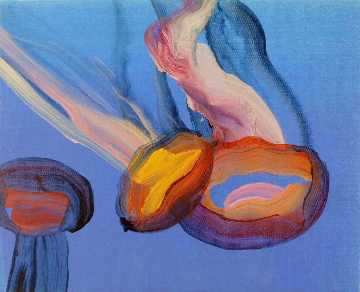 Méduses 11，2013 年（丙烯酸画布） 作者 奥利维尔·莫雷尔（Olivier Morel）