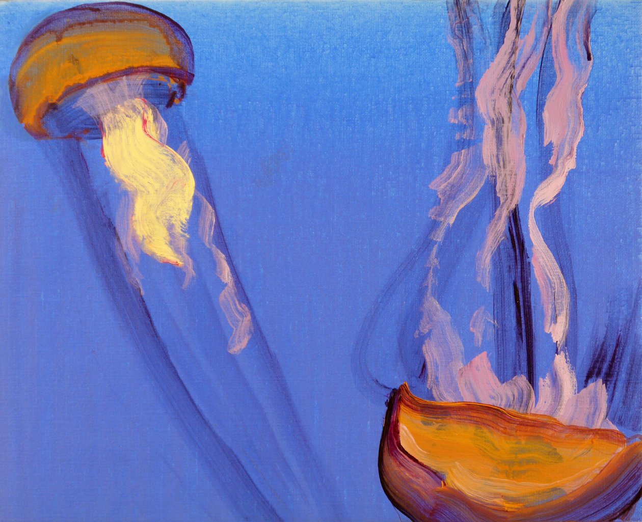 Méduses 7, 2013（丙烯酸画布） 作者 奥利维尔·莫雷尔（Olivier Morel）